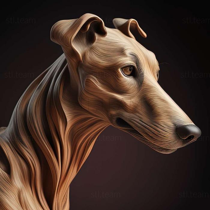 Horthaya greyhound dog
